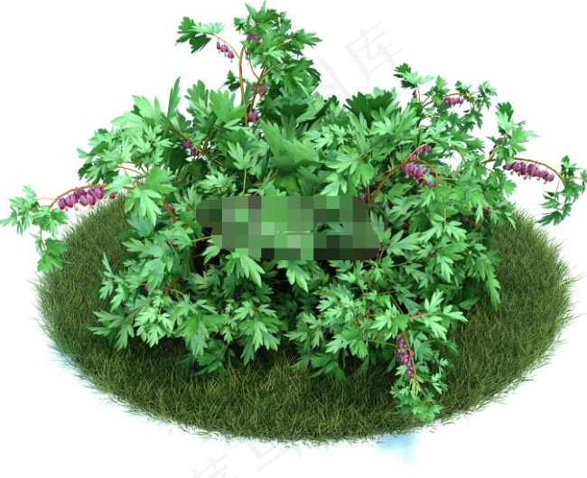 园林植物模型下载