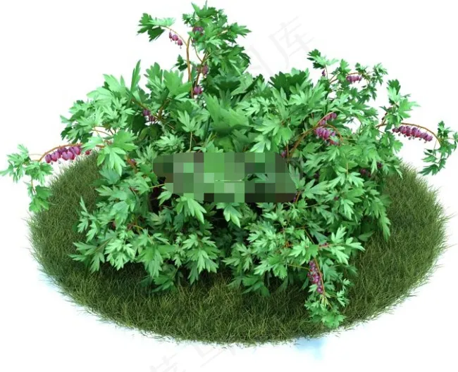 园林植物模型下载