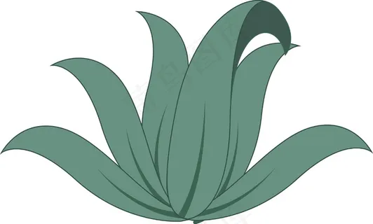 绿色的草 绿色的草