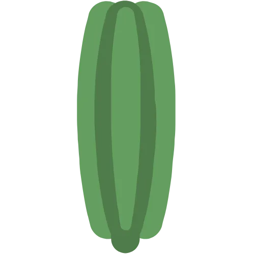 环境 茴香 开花 大自然 植物