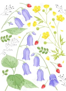 花朵移门设计素材