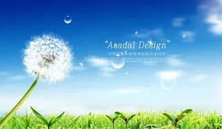 蒲公英春天背景PSD模板