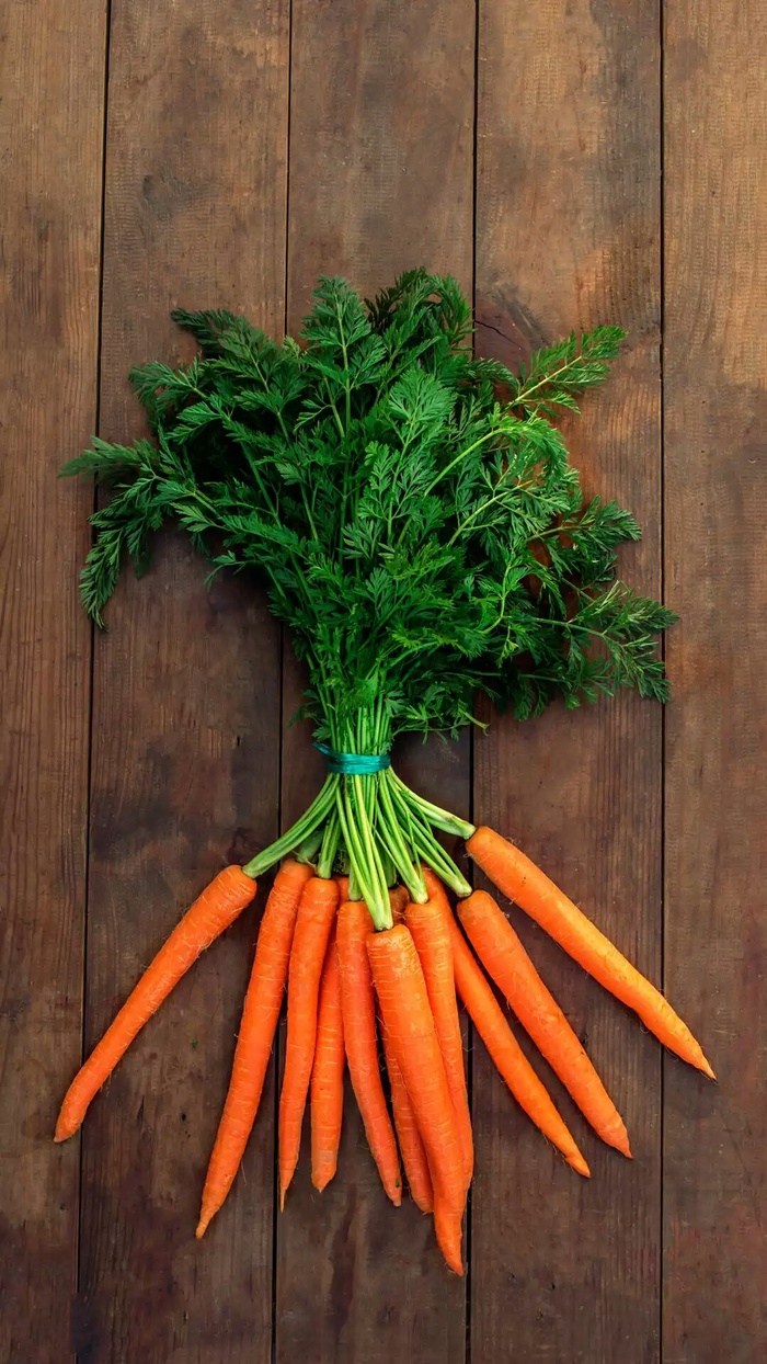 红萝卡高清摄影图片