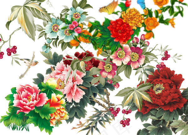多款牡丹花psd分层-3(3470X2487(DPI:300))psd模版下载