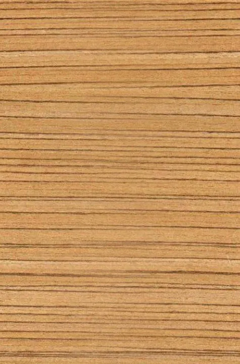 办公大厅整体模型