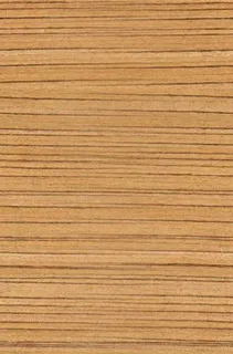 办公大厅整体模型