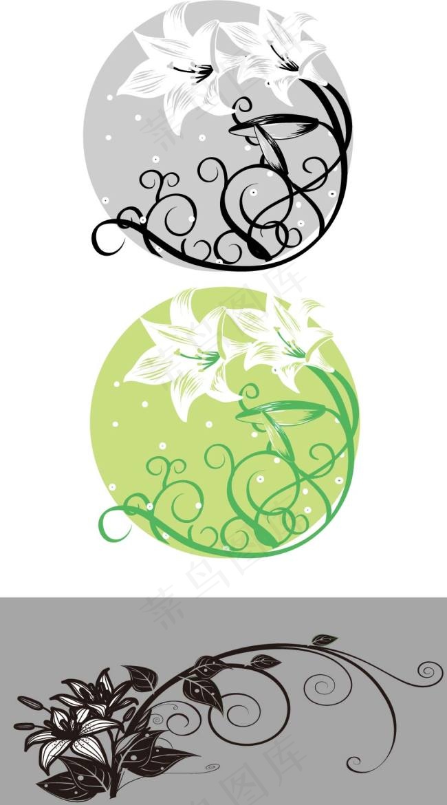 鲜艳百合花矢量图2款ai矢量模版下载