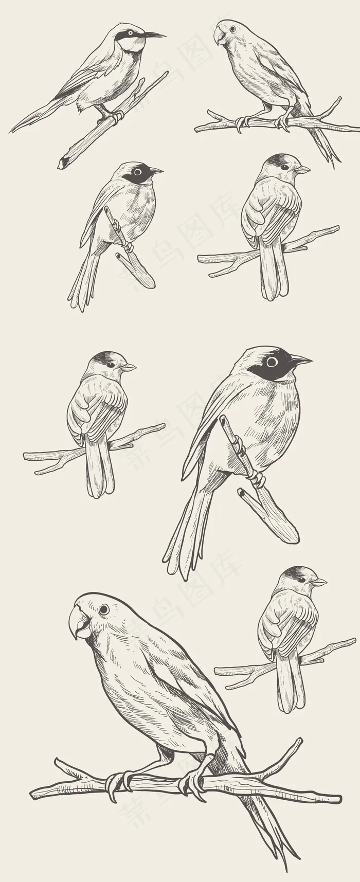 鸟类集锦素描简笔画设计元素ai矢量模版下载