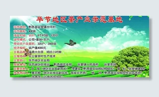 毕节地区茶叶产业化示范基地图片