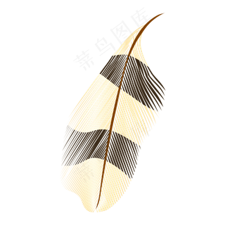 白色羽毛黑色孔雀飘落羽毛png素材