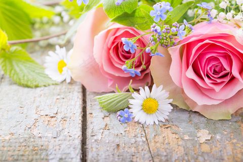 粉色玫瑰花静物设计素材