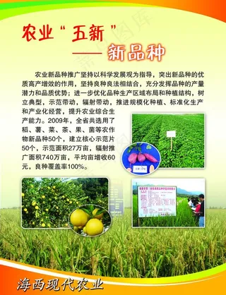 福州618展会农业厅展板图片