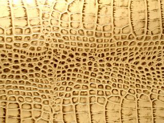 鳄鱼纹背景图片