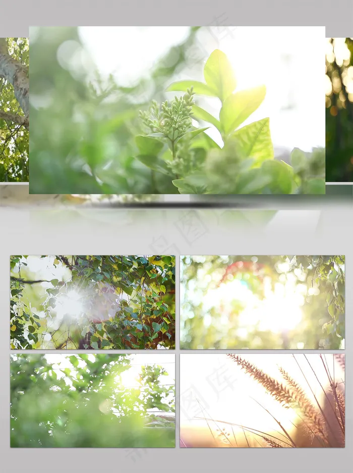清新阳光草丛升起唯美浪漫意境