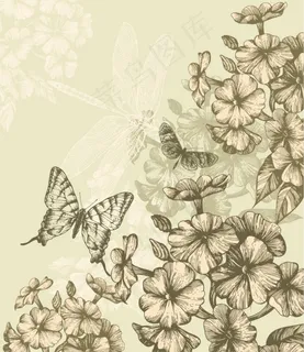 素描花卉图案画稿矢量素材 素描花卉图案画稿矢量素材