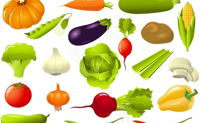 手绘蔬菜矢量图片eps,ai矢量模版下载