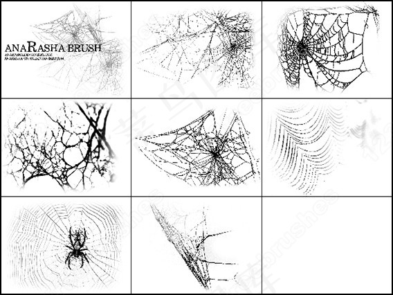 蜘蛛网的刷子