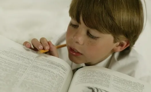 学习的男孩图片