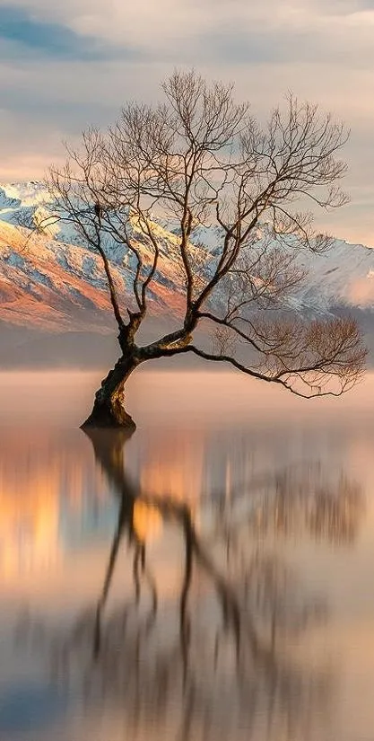 自然风景