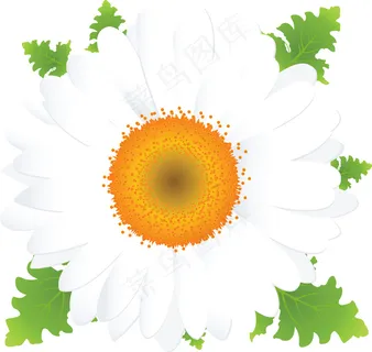 春天花朵矢量素材