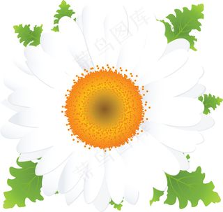 春天花朵矢量素材