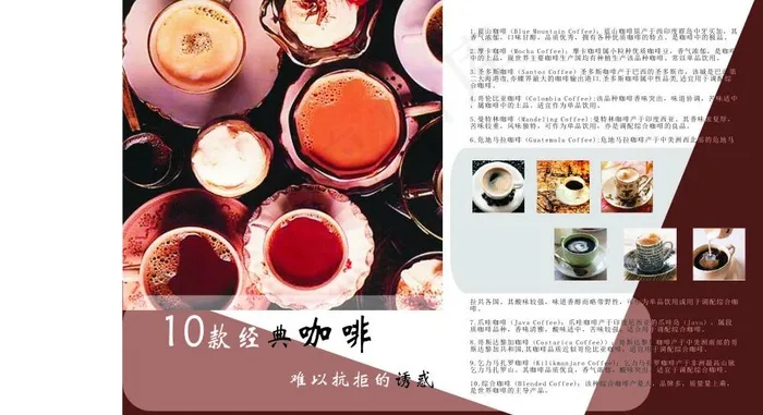 杂志版面设计图片cdr矢量模版下载
