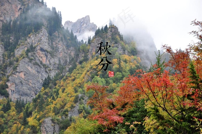 高山黄叶秋分山景图