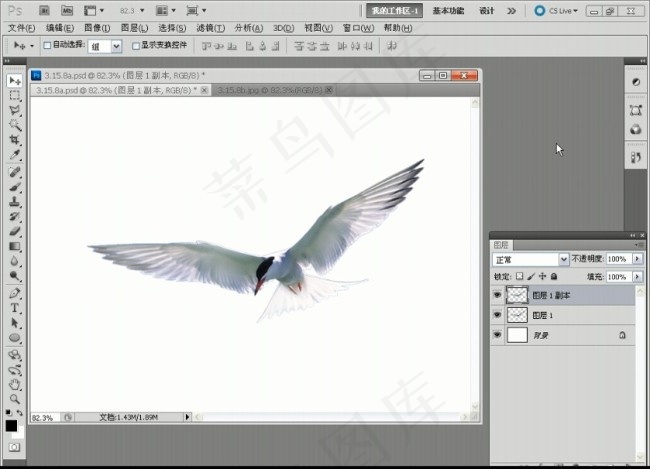实战通过变换制作飞鸟