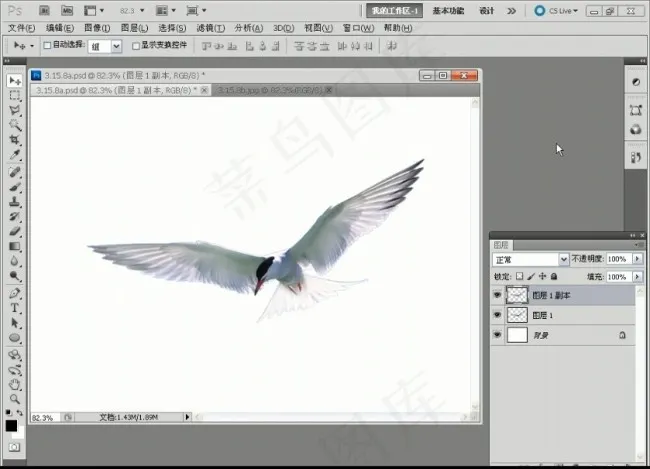 实战通过变换制作飞鸟