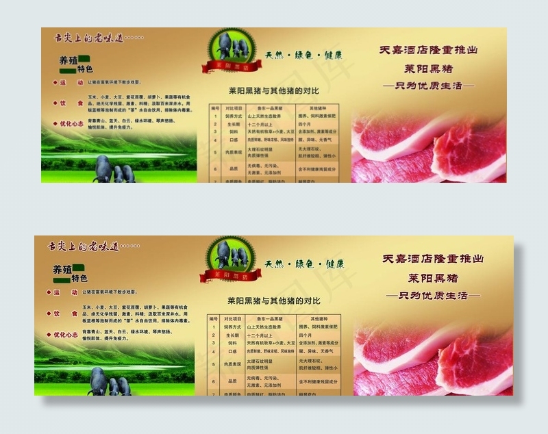 黑猪三折页图片psd模版下载