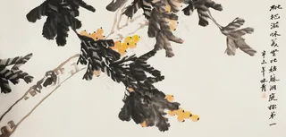 枇杷滋味美图片