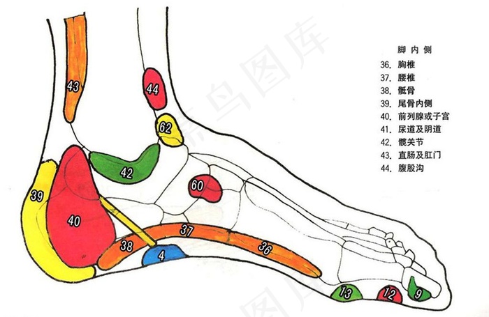 足疗穴位图片