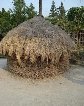 朱家角 课植园稻草垛图片