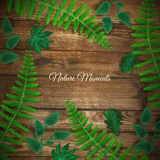 木地板的现实背景