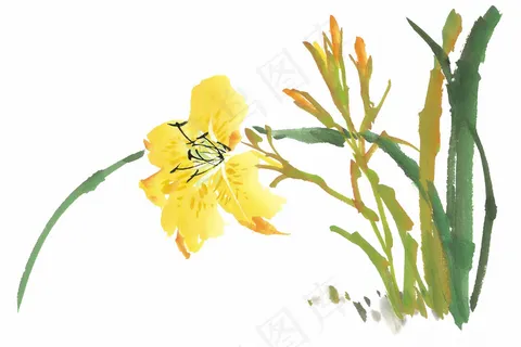 水仙水墨画 水仙水墨画
