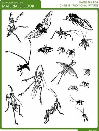 各种姿态的昆虫矢量图