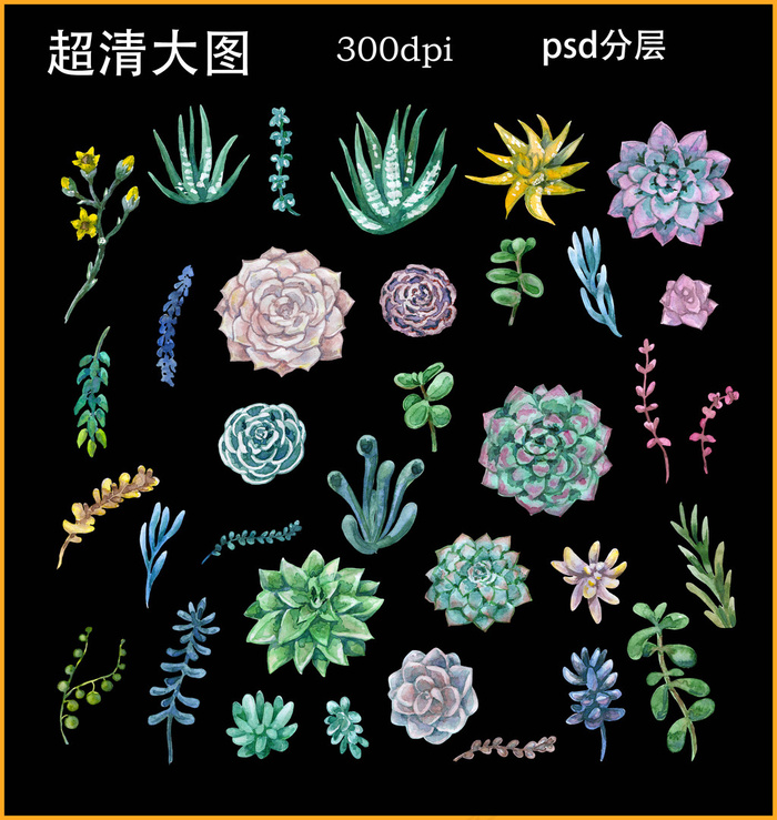 水彩多肉植物(4477X4724(DPI:300))psd模版下载