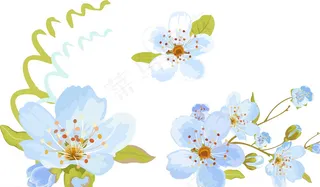 蓝色 唯美花朵图片