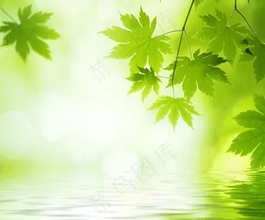 唯美清新背景素材 唯美清新背景素材