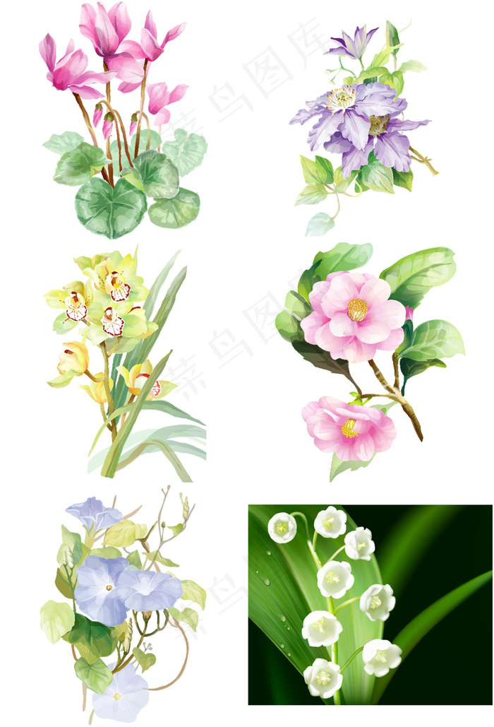 手绘植物eps,ai矢量模版下载