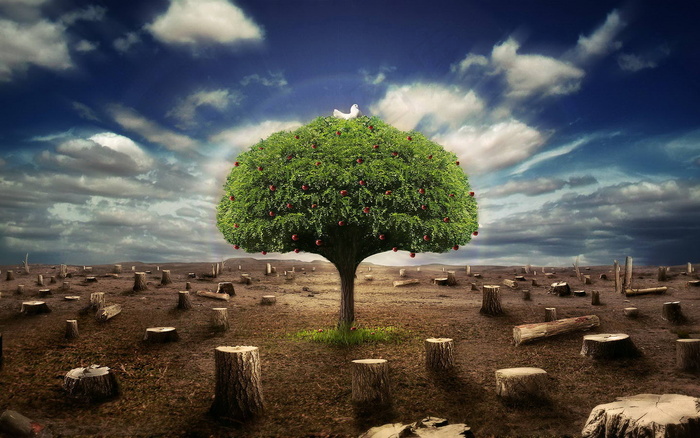 高清电脑桌面背景壁纸