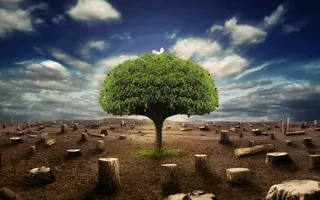 高清电脑桌面背景壁纸