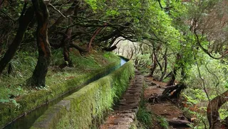张家界风景 森林图片