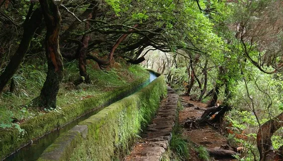 张家界风景 森林图片 张家界风景 森林图片