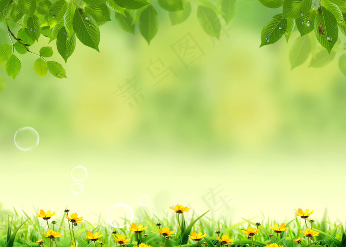 夏季清新树叶草地背景