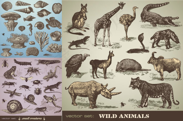 手绘动物矢量素材