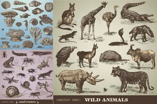 手绘动物矢量素材