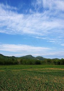 碧绿的原野图片 碧绿的原野图片