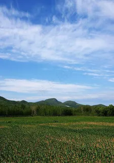 碧绿的原野图片 碧绿的原野图片