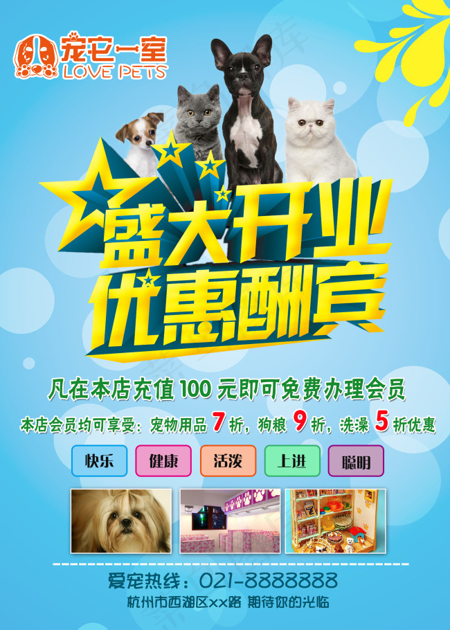 宠物店开业宣传海报